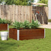 Plantekasse brun 120x80 cm heltre furu vidaXL