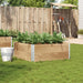 Plantekasse 100x100 cm heltre furu vidaXL