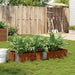 Plantekasse brun 150x50 cm heltre furu vidaXL