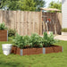 Plantekasse brun 150x100 cm heltre furu vidaXL