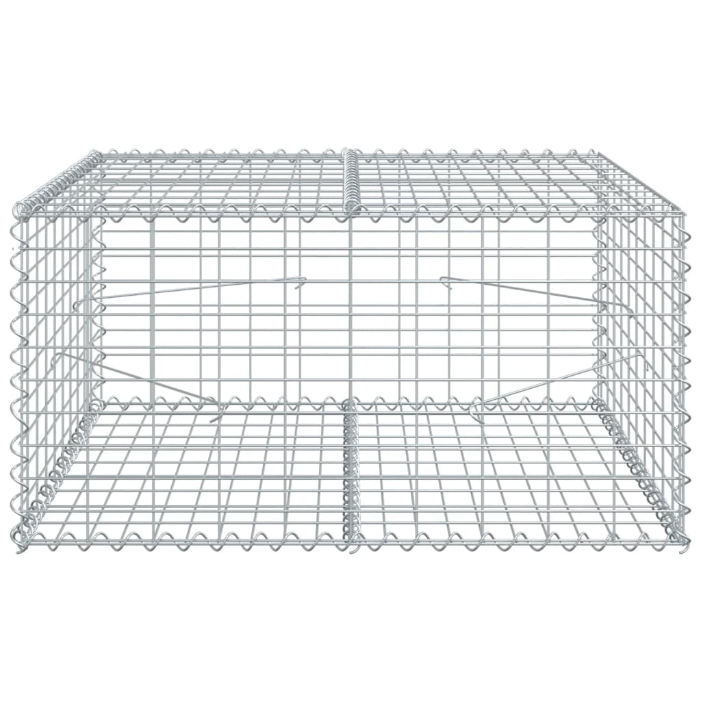 Gabionkurv med deksel 100x100x50 cm galvanisert jern
