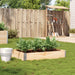 Plantekasse 120x80 cm heltre furu