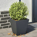 Plantekasser 2 stk antrasitt 30x30x30 cm stål