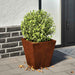 Hageplanter 2 stk 30x30x30 cm oksidert stål vidaXL