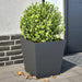 Plantekasser 2 stk antrasitt 40x40x40 cm stål