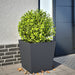 Plantekasse antrasitt 50x50x50 cm cortenstål