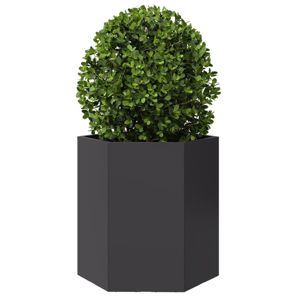Hageplantekasse svart sekskantet 46x40x45 cm stål