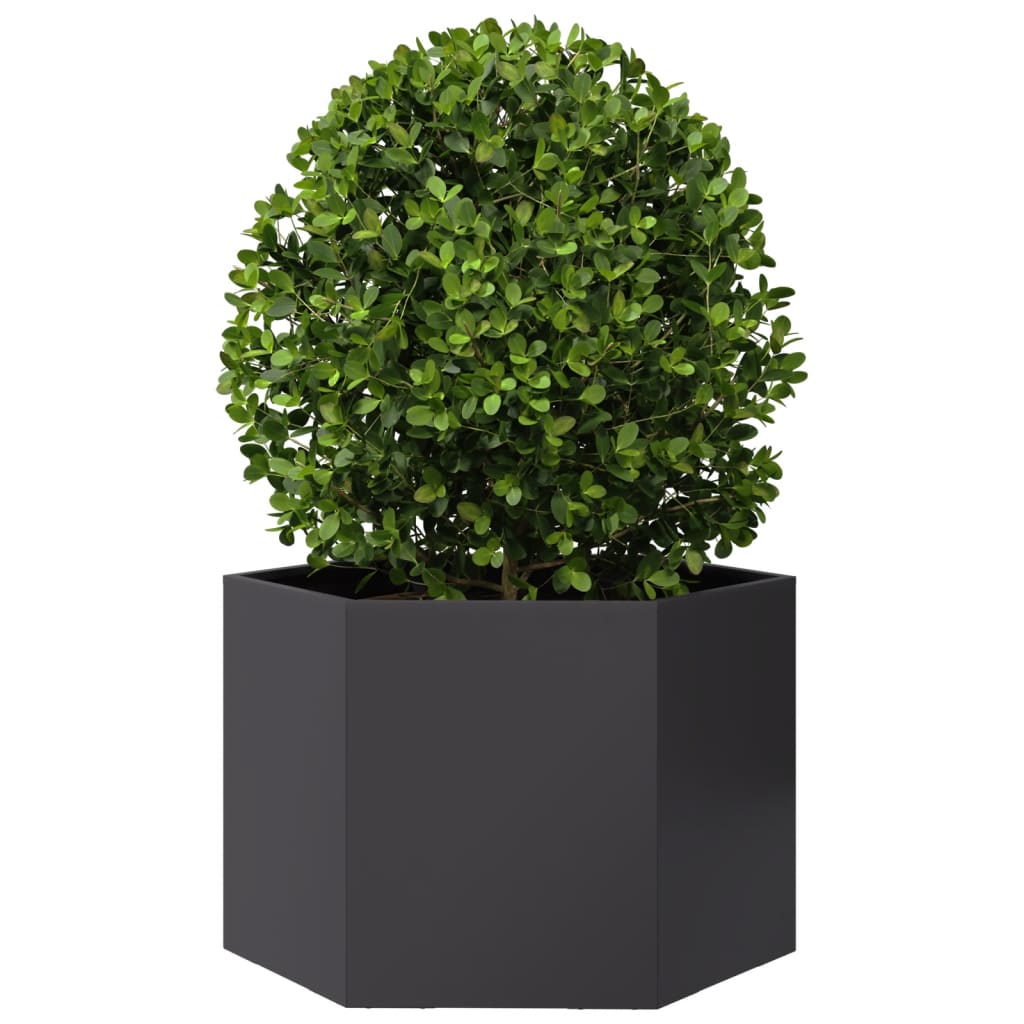 Plantekasse svart sekskantet 69x60x45 cm stål