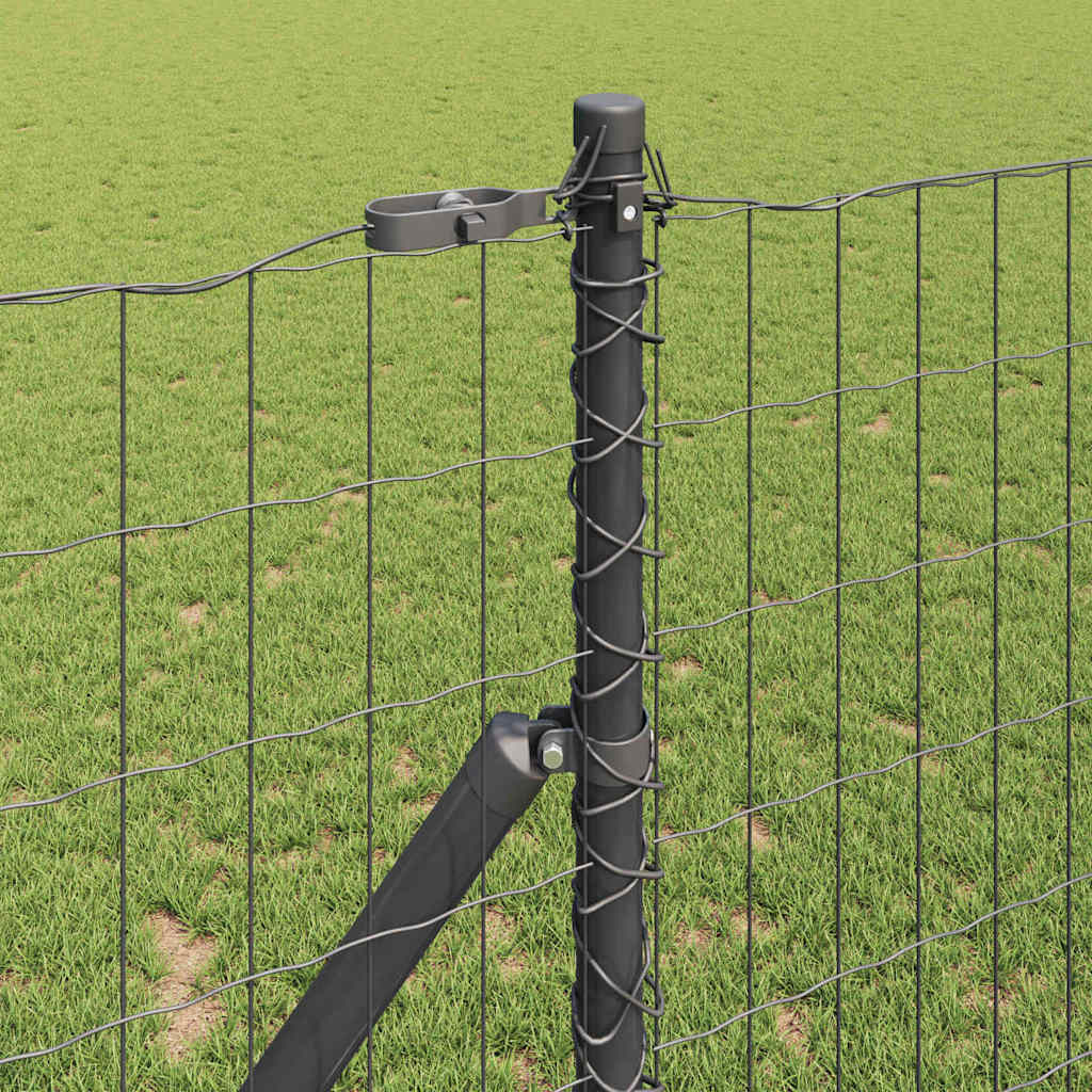 Euro Zaun Festemo 10 x 1 m PVC-belagt stål Grå Mesh