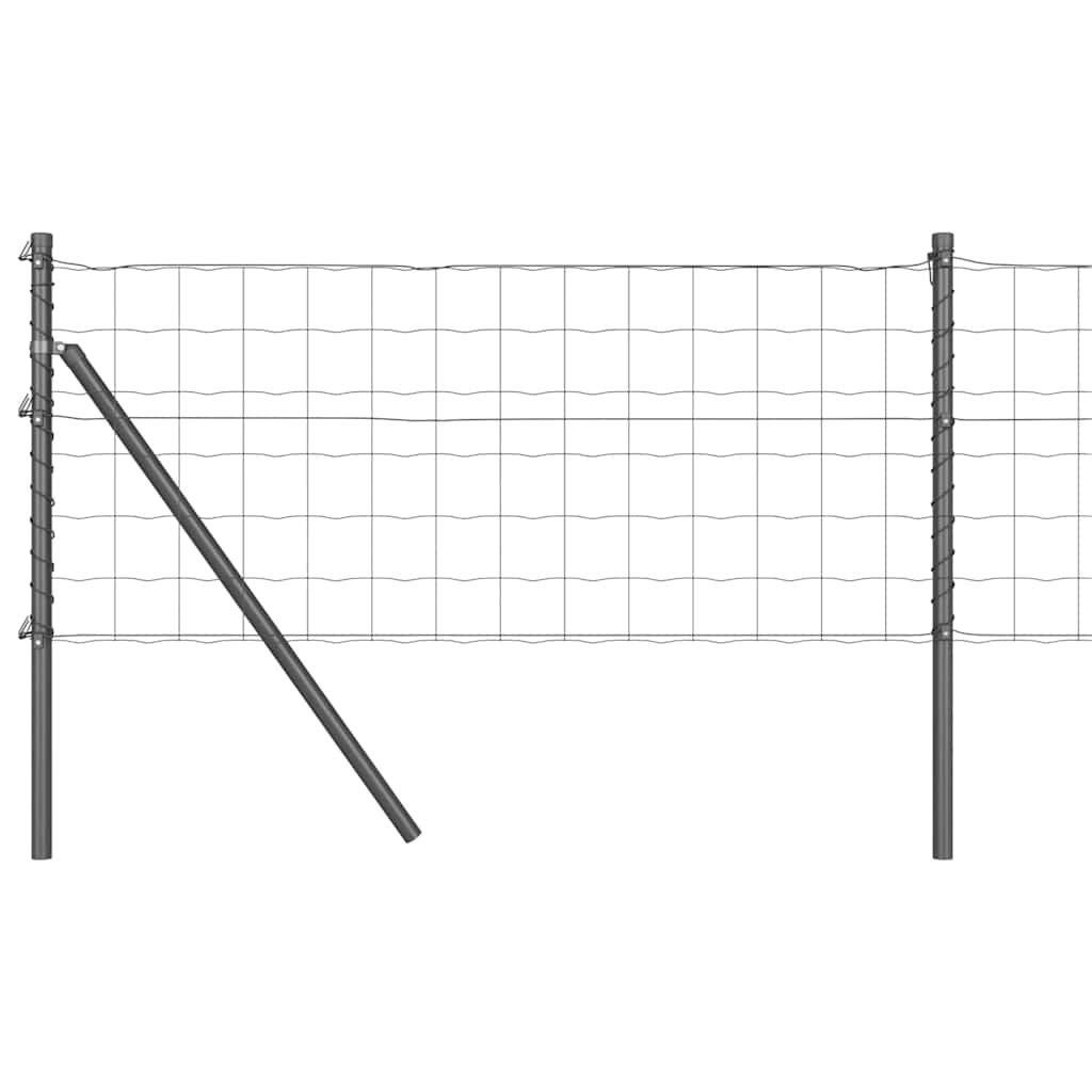 Euro Zaun Festemo 10 x 0,6 m PVC-belagt stål Grå Mesh