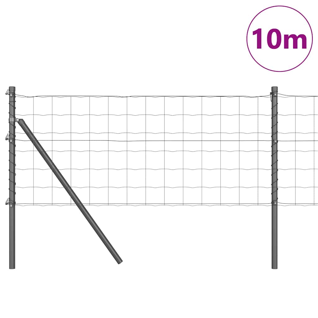 Euro Zaun Festemo 10 x 0,6 m PVC-belagt stål Grå Mesh