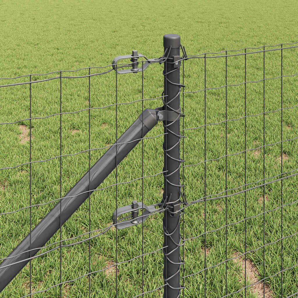 Euro-gjerde med pigger 10 x 1 m PVC-belagt stål Grå Mesh