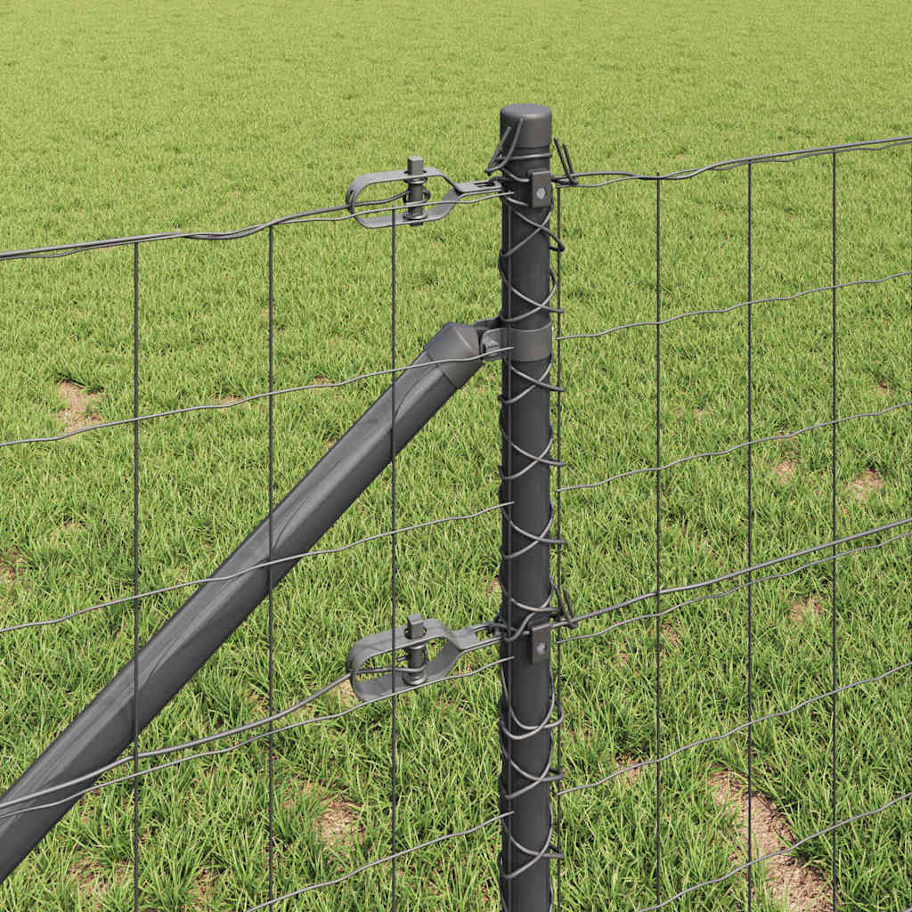 Euro-gjerde med pigger 10 x 0,8 m PVC-belagt stål Grå Mesh