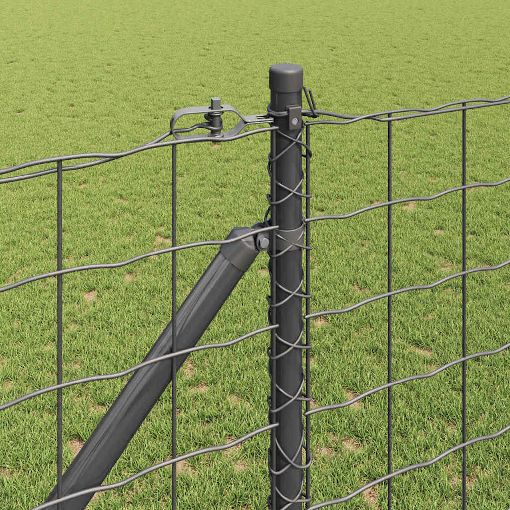 Euro-gjerde med pigger 25 x 1,2 m PVC-belagt stål Grå Mesh