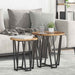 Sidebordssett 2 pcs Gammel tre og svart