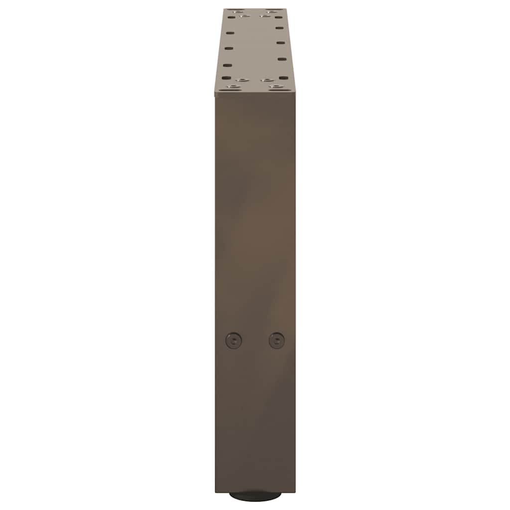 Salongbordben naturstål 2 stk 50x(30-31) cm stål