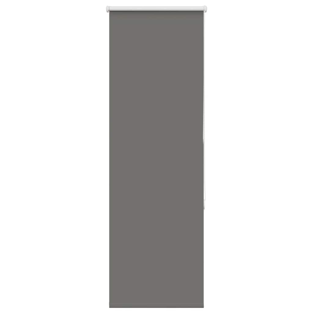 Rullegardin lystette 55x150 cm stoff bredde 50,7 cm polyester vidaXL