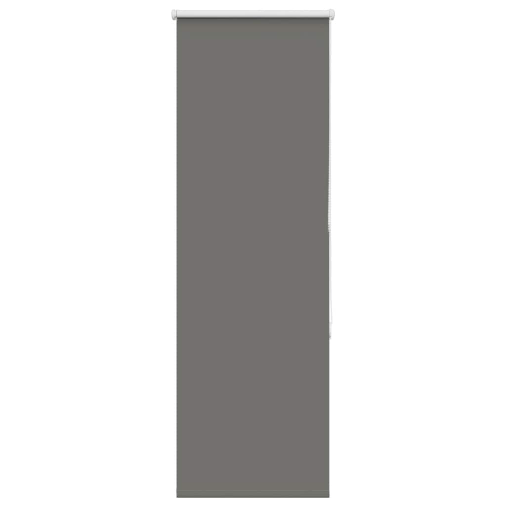 Rullegardin lystette 60x175 cm stoff bredde 55,7 cm polyester vidaXL
