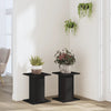 Plantestativer 2 stk svart 30x30x40 cm konstruert tre