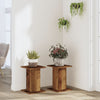 Plantestativer 2 stk gammelt tre 30x30x40 cm konstruert tre