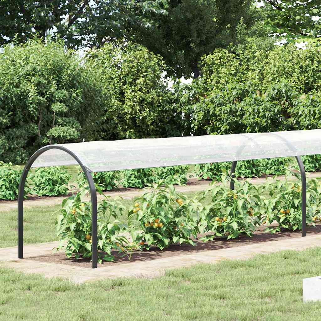 Klar presenning med maljer 1x8 m polyetylen