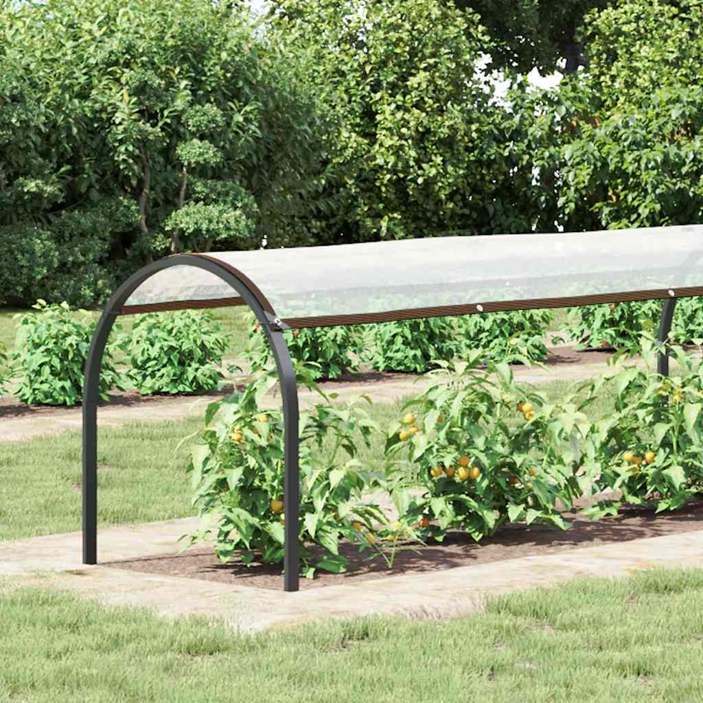 Klar presenning med maljer 1x6 m polyetylen