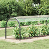 Klar presenning med maljer 1x6 m PVC