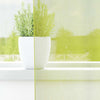 Voilegardiner med grommets 2 stk eplegrønn 140x225 cm