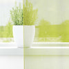 Voilegardiner med grommets 2 stk eplegrønn 140x300 cm
