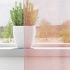 Voilegardiner med grommets 2 stk lyserosa 140x260 cm