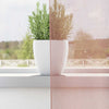 Voilegardiner med grommets 2 stk rosa 140x140 cm