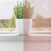 Voilegardiner med grommets 2 stk rosa 140x245 cm