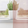 Voilegardiner med grommets 2 stk rosa 140x300 cm
