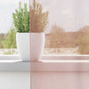 Voile gardiner med stanglommer 2 stk rosa
