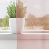 Voile gardiner med stanglommer 2 stk rosa