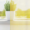 Voilegardiner med hemper 2 stk gul 140x260 cm