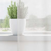 Voilegardiner med hemper 2 stk hvit 140x140 cm