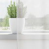 Voilegardiner med hemper 2 stk hvit 140x225 cm