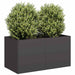 Plantekasse svart 80x40x40 cm kaldvalset stål