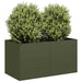 Plantekasse olivengrønn 80x40x40 cm kaldvalset stål