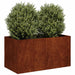 Plantekasse rust 80x40x40 cm forvitringsstål
