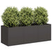 Blomsterkasse svart 120x40x40 cm kaldvalset stål