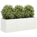 Plantekasse hvit 120x40x40 cm kaldvalset stål