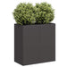 Plantekasse svart 80x40x80 cm kaldvalset stål