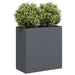 Plantekasse antrasitt 80x40x80 cm kaldvalset stål