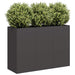 Blomsterkasse svart 120x40x80 cm kaldvalset stål