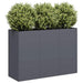 Plantekasse antrasitt 120x40x80 cm kaldvalset stål