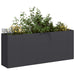 Plantekasse svart 200x40x80 cm kaldvalset stål