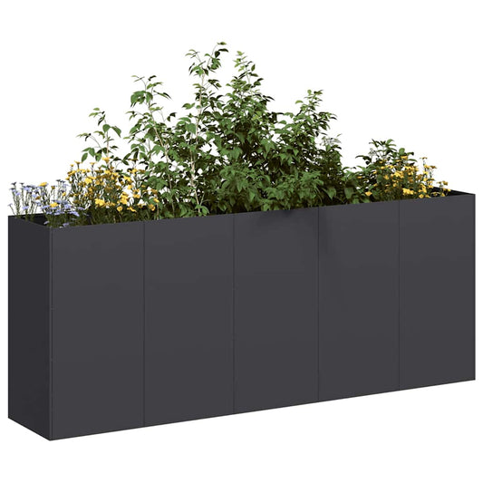 Plantekasse svart 200x40x80 cm kaldvalset stål