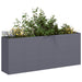 Plantekasse antrasitt 200x40x80 cm kaldvalset stål